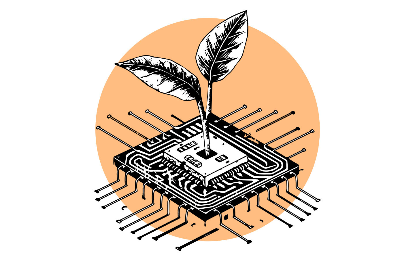 A computer chip with a plant grown out of it