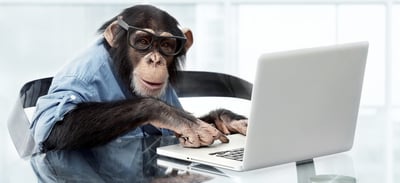 istock-18586699-monkey-computer.jpg